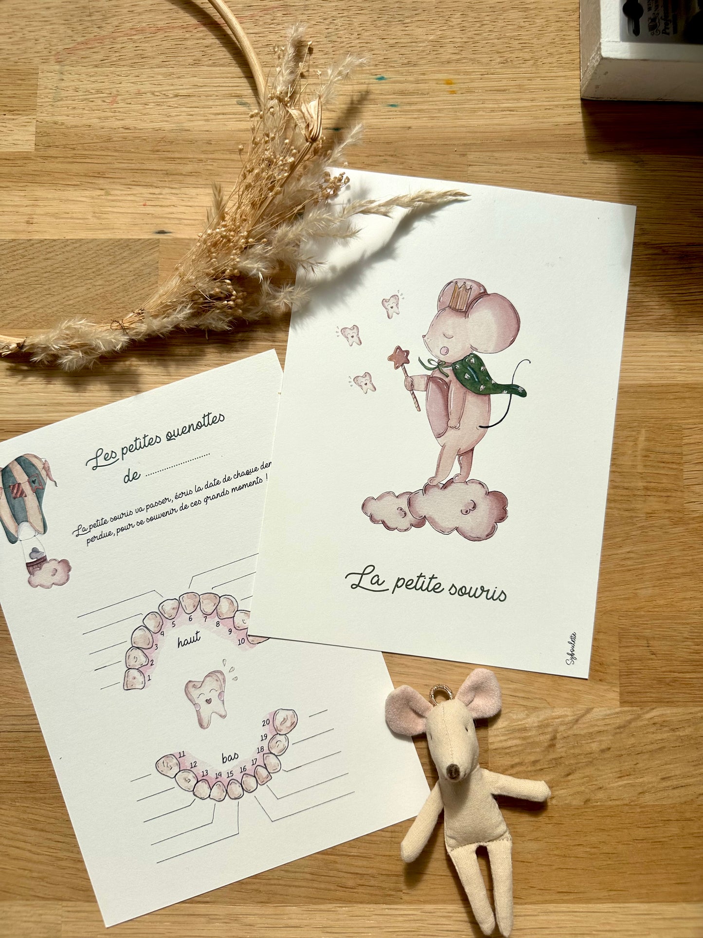 Little Mouse Kit - Baby Tooth Kit