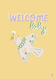 Carte Naissance illustrée - Welcome baby vichy oiseau