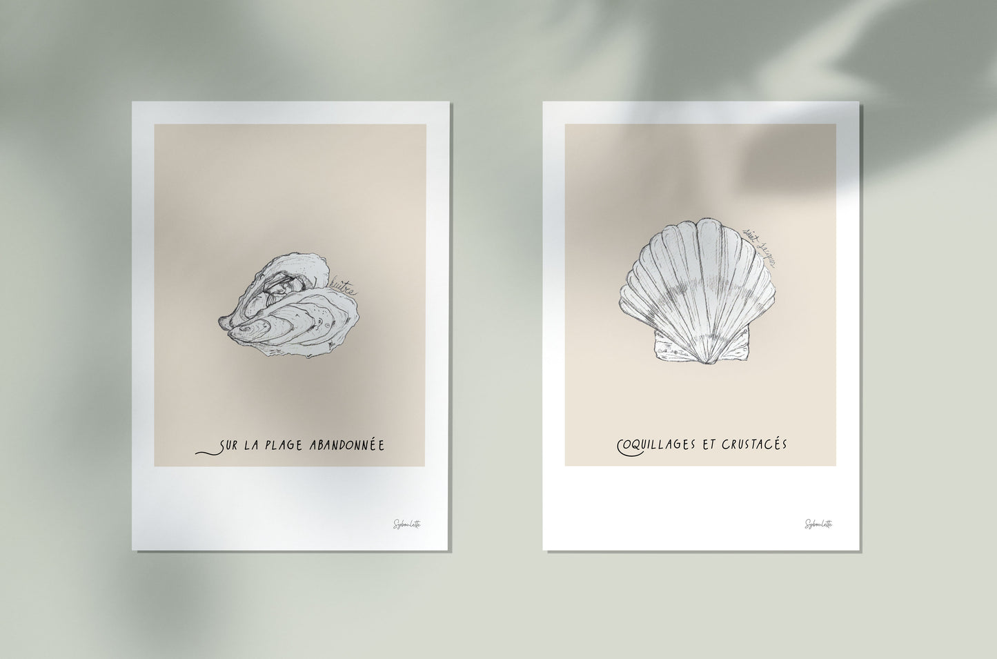 Coquillages et crustacés - illustration